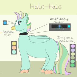 Size: 3500x3500 | Tagged: safe, artist:lupin quill, oc, oc only, oc:halo-halo, hippogriff, choker, chubby, fat, high res, hippogriff oc, reference sheet, simple background, solo