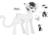 Size: 1956x1368 | Tagged: safe, artist:monogy, oc, oc only, oc:maki, cat pony, original species, chibi, clothes, female, hoodie, reference sheet, simple background, solo, transparent background