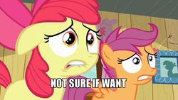 Size: 800x450 | Tagged: safe, edit, edited screencap, screencap, apple bloom, scootaloo, g4, hearts and hooves day (episode), apple bloom's bow, bow, hair bow, image macro, lip bite, meme, nervous, not sure if want