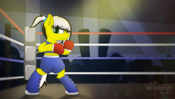 Size: 2560x1440 | Tagged: safe, artist:etheria galaxia, oc, oc only, oc:uppercute, earth pony, pony, audience, bipedal, boots, boxing gloves, boxing ring, clothes, freckles, shoes, shorts, solo, sports bra, sports shorts