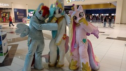 Size: 5344x3006 | Tagged: safe, princess cadance, princess celestia, rainbow dash, human, g4, fursuit, irl, irl human, photo