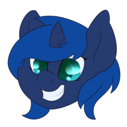 Size: 1501x1500 | Tagged: safe, artist:swiftnicity, oc, oc only, oc:princess nightwrath, pony, cute, disembodied head, head, not woona, simple background, smiling, solo, transparent background