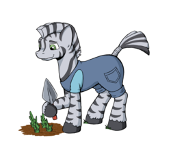 Size: 800x723 | Tagged: safe, artist:riverfox237, oc, oc:maluhia, zebra, clothes, gardening, simple background, spade, zebra oc