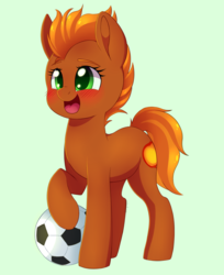 Size: 1334x1634 | Tagged: safe, artist:adostume, oc, oc only, oc:blaze, earth pony, fire pony, pony, ball, blushing, cute, solo