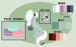 Size: 1808x1128 | Tagged: safe, artist:ipandacakes, oc, oc only, oc:taffy strings, earth pony, pony, female, magical lesbian spawn, mare, offspring, parent:bon bon, parent:lyra heartstrings, parents:lyrabon, reference sheet, solo