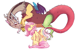 Size: 1911x1226 | Tagged: safe, artist:1an1, discord, fluttershy, draconequus, pegasus, pony, g4, female, looking at each other, male, mare, ship:discoshy, shipping, simple background, straight, white background