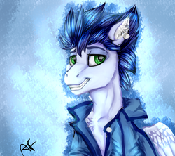 Size: 1024x908 | Tagged: safe, artist:greenleafy1, soarin', pony, g4, bust, clothes, jacket, male, solo