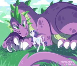 Size: 2000x1731 | Tagged: safe, artist:weesleeyy, rarity, spike, g4, female, leonine tail, macro, male, older, older spike, ship:sparity, shipping, size difference, straight