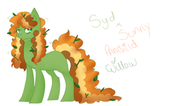 Size: 2000x1200 | Tagged: safe, artist:citrusskittles, oc, oc only, oc:willow wisp, earth pony, pony, blank flank, female, long tail, magical lesbian spawn, mare, messy mane, offspring, offspring's offspring, parent:oc:seed seeker (syd), parent:oc:sunset sky, parents:oc x oc, simple background, solo, white background