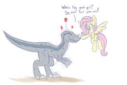 Size: 1200x800 | Tagged: safe, artist:heir-of-rick, fluttershy, dinosaur, pegasus, pony, velociraptor, g4, blue (jurassic world), boop, cute, eyes closed, female, heart, jurassic park, jurassic world, jurassic world: fallen kingdom, mare, simple background, sketch, spoilers in description, white background