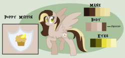 Size: 2044x954 | Tagged: safe, artist:ipandacakes, oc, oc only, oc:poppy muffin, pegasus, pony, female, mare, offspring, parent:derpy hooves, parent:doctor whooves, parents:doctorderpy, reference sheet, solo