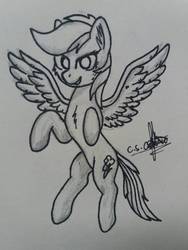 Size: 774x1032 | Tagged: safe, artist:ironbeastz, rainbow dash, pegasus, pony, g4, female, flying, mare, monochrome, signature, simple background, solo, traditional art, white background