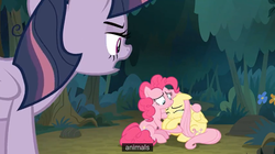 Size: 1102x618 | Tagged: safe, screencap, fluttershy, mean twilight sparkle, pinkie pie, pony, g4, the mean 6, captain obvious, clone, crying, female, fluttercry, mare, meme, youtube caption