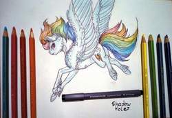 Size: 1024x700 | Tagged: safe, artist:2shadowhole, rainbow dash, pony, g4, colored pencil drawing, feathered fetlocks, female, solo, traditional art, wings