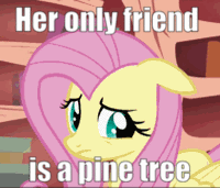 Size: 200x171 | Tagged: safe, edit, edited screencap, screencap, fluttershy, pegasus, pony, bridle gossip, g4, animated, awkward, cropped, cute, female, gif, golden oaks library, library, mare, monty python, puppy dog eyes, shyabetes, solo, text