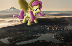 Size: 3840x2450 | Tagged: safe, artist:flutterbatismagic, fluttershy, bat pony, pony, vampire, g4, aerial view, angry, city, destruction, female, flutterbat, giant ponies in real life, giant pony, high res, irl, macro, macro/micro, photo, photomanipulation, ponies in real life, race swap, seattle, sunset