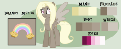 Size: 1938x793 | Tagged: safe, artist:ipandacakes, oc, oc only, oc:brandy muffin, pegasus, pony, female, mare, offspring, parent:derpy hooves, parent:doctor whooves, parents:doctorderpy, reference sheet, solo