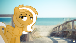 Size: 4588x2600 | Tagged: safe, artist:potato22, oc, oc only, oc:mareota, pony, irl, looking at you, photo, ponies in real life, solo