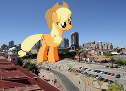 Size: 1980x1430 | Tagged: safe, artist:flawlesstea, artist:theotterpony, applejack, earth pony, pony, g4, city, cowboy hat, female, freckles, giant pony, hat, highrise ponies, irl, johannesburg, macro, mare, photo, ponies in real life, solo, south africa, stetson, story in the source