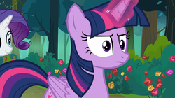 Size: 1102x619 | Tagged: safe, screencap, rarity, twilight sparkle, alicorn, pony, g4, the mean 6, magic, twilight sparkle (alicorn)