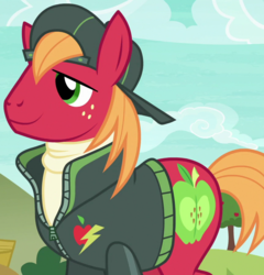 Size: 865x900 | Tagged: safe, screencap, big macintosh, earth pony, pony, buckball season, g4, clothes, cropped, male, outfit catalog, solo, stallion