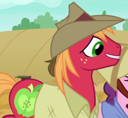 Size: 1120x1030 | Tagged: safe, screencap, big macintosh, sugar belle, earth pony, pony, g4, hard to say anything, clothes, cropped, male, outfit catalog, solo