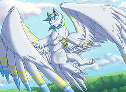 Size: 4482x3300 | Tagged: safe, artist:cr0wskull, oc, oc only, oc:cirrus sky, hippogriff, cloud, looking back, sky, smiling, solo, spread wings, wings