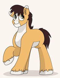 Size: 1423x1836 | Tagged: safe, artist:pastel-charms, oc, oc only, oc:lucky horseshoe, earth pony, pony, male, offspring, parent:applejack, parent:trouble shoes, parents:troublejack, simple background, solo, stallion
