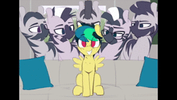 Size: 960x540 | Tagged: safe, artist:shinodage, edit, oc, oc only, oc:apogee, pegasus, pony, zebra, :o, animated, bedroom eyes, couch, cute, eyes on the prize, female, filly, freckles, glasses, grin, imminent rape, imminent sex, jojo's bizarre adventure, lidded eyes, looking at you, male, meme, open mouth, pillow, piper perri surrounded, roundabout, sitting, smiling, smirk, sound, squee, stallion, striped, to be continued (meme), video, webm, yes (band), zebra supremacy, zebradom