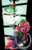 Size: 990x1530 | Tagged: safe, artist:bumblebun, gummy, pinkie pie, earth pony, pony, g4, cap, clothes, costume, female, hat, king boo, luigi, luigi's hat, luigi's mansion, luigi's mansion: dark moon, male, mare, poltergust 5000, super mario bros., video game crossover