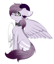 Size: 3371x3999 | Tagged: safe, artist:mimihappy99, oc, oc only, oc:kuji, pegasus, pony, cute, high res, male, simple background, solo, transparent background