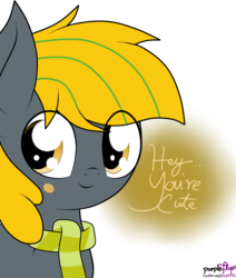 Size: 1303x1536 | Tagged: safe, artist:php142, oc, oc only, oc:jon, earth pony, pony, clothes, cute, looking at you, male, scarf, simple background, smiling, solo, text, transparent background