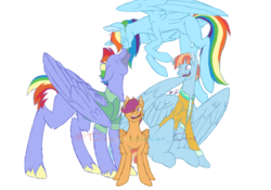 Size: 1500x1050 | Tagged: safe, artist:dragonseekerart, bow hothoof, rainbow dash, scootaloo, windy whistles, pegasus, pony, g4, clothes, eyes closed, family, female, flying, male, mare, missing cutie mark, nuzzling, scootalove, simple background, smiling, spread wings, stallion, transparent background, watermark, wings