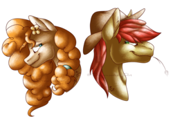 Size: 1500x1050 | Tagged: safe, artist:dragonseekerart, bright mac, pear butter, earth pony, pony, g4, bust, cowboy hat, female, flower, flower in hair, hat, looking at each other, looking back, male, mare, ship:brightbutter, shipping, simple background, smiling, stallion, straight, straw in mouth, transparent background