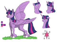 Size: 1754x1240 | Tagged: safe, artist:valo-son, twilight sparkle, alicorn, pony, g4, curved horn, cutie mark, female, floppy ears, horn, looking at you, mare, one wing out, reference sheet, simple background, smiling, solo, twilight sparkle (alicorn), unshorn fetlocks, white background