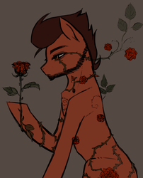 Size: 2022x2500 | Tagged: safe, artist:ognifireheart, oc, oc only, pony, beard, facial hair, flower, high res, male, rose, simple background, solo, stallion