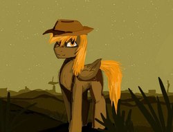 Size: 931x715 | Tagged: safe, artist:ognifireheart, oc, oc only, oc:calamity, pegasus, pony, fallout equestria, cowboy hat, dashite, fanfic, fanfic art, hat, hooves, male, night, solo, stallion, stars, stetson, wings