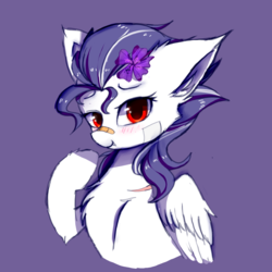 Size: 1500x1500 | Tagged: safe, artist:heddopen, oc, oc only, pegasus, pony, chest fluff, ear fluff, fangs, female, flower, flower in hair, giggling, looking at you, scar, wings