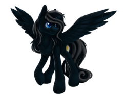 Size: 4000x3000 | Tagged: safe, artist:klarapl, oc, oc only, oc:sable, alicorn, pony, commission, male, simple background, smiling, solo, spread wings, stallion, transparent background, wings