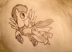 Size: 1024x737 | Tagged: safe, artist:protest0, artist:protesto, oc, oc:pipe dream, pegasus, pony, crossover, dashite, gryffindor, harry potter (series), male, quidditch, quidditch robes, stallion, traditional art, wings