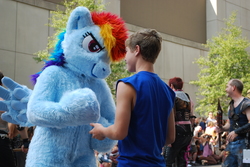 Size: 3872x2592 | Tagged: source needed, safe, artist:spainfischer, rainbow dash, human, pegasus, pony, g4, 2011, clothes, cosplay, costume, dragoncon, dragoncon 2011, fursuit, high res, irl, photo, ponysuit, pose, smiling, smirk, solo, suit, tail, wings
