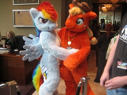 Size: 1024x768 | Tagged: safe, artist:neouka, artist:spainfischer, applejack, rainbow dash, earth pony, pegasus, pony, g4, 2011, anthrocon, clothes, convention, cosplay, costume, duo, embrace, female, fursuit, hug, hugging a pony, irl, lesbian, photo, ponysuit, pose, ship:appledash, shipping, smiling, smirk, suit, tail, wings