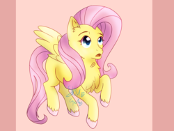 Size: 3264x2448 | Tagged: safe, artist:8bitgalaxy, fluttershy, pegasus, pony, g4, female, high res, mare, simple background, solo