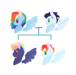 Size: 1232x1224 | Tagged: safe, artist:onedayhm, rainbow dash, soarin', oc, oc:firelight cloud, oc:neon ray, pegasus, pony, g4, base used, chest fluff, family tree, female, male, mare, offspring, parent:rainbow dash, parent:soarin', parents:soarindash, ship:soarindash, shipping, simple background, stallion, straight, white background