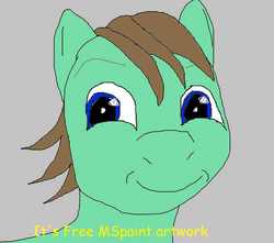Size: 640x566 | Tagged: safe, oc, oc only, oc:ian, pony, cursed image, it's free real estate, solo