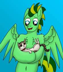 Size: 2864x3236 | Tagged: safe, artist:tacomytaco, oc, oc only, oc:taco.m.tacoson, cat, pegasus, pony, belly button, chest fluff, gradient background, high res, male, pet, solo