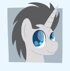 Size: 981x993 | Tagged: safe, artist:phat_guy, derpibooru exclusive, oc, oc only, pony, unicorn, bust, frame, horn, lineless, male, portrait, simple background, smiling, solo, stallion