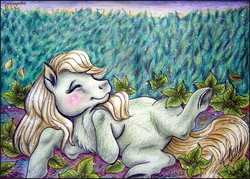 Size: 3038x2174 | Tagged: safe, artist:lolliangel00, artist:lolliangel123, minty (g1), pony, g1, eyes closed, female, high res, horses doing horse things, leaves, mint, rolling, scene interpretation, solo, traditional art