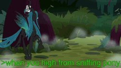 Size: 800x450 | Tagged: safe, artist:dwk, edit, edited screencap, screencap, queen chrysalis, changeling, changeling queen, pony, totally legit recap, g4, the mean 6, adorkable, animated, cute, cutealis, dork, eye twitch, female, greentext, high, pranchrysalis, prancing, silly, silly changeling, silly pony, solo, text, tfw