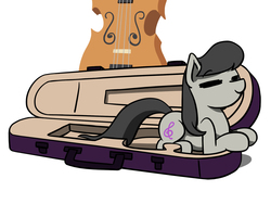 Size: 1800x1350 | Tagged: safe, artist:flutterluv, octavia melody, earth pony, pony, g4, behaving like a cat, female, if i fits i sits, mare, ponified animal photo, solo